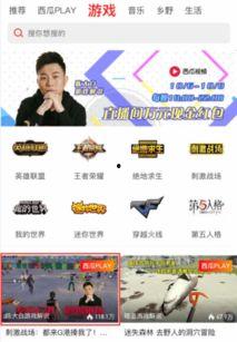 西瓜主播王者最新爆料,揭秘游戏界最新动态与内幕